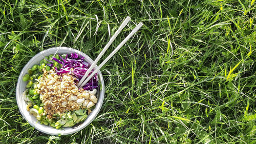 High angle view of purple flowers in bowl on field