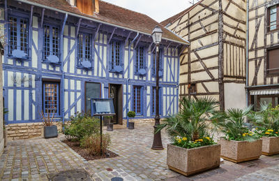 Potted plants on street against building