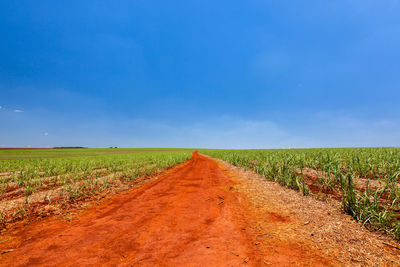 Tire tracks on agricultural field against blue sky