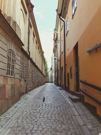 Narrow alley along buildings