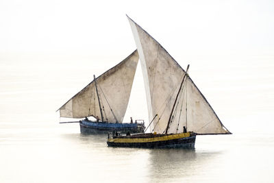 Sailboat sailing on sea against clear sky