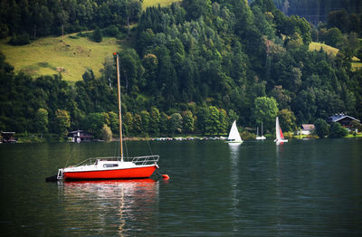 Boat sailing on river by trees