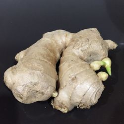 Close-up of food on table