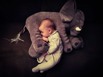 High angle view of baby boy sleeping by toy animal on black background