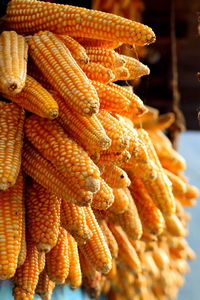 Close-up of corn