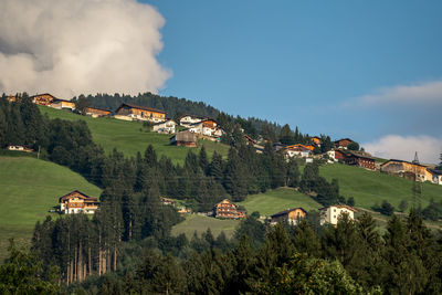 Trees and houses against sky