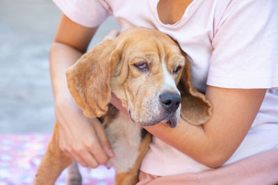 Close-up of puppy with dog