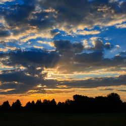 Silhouette trees on field against sky at sunset