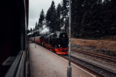 Train on railroad tracks amidst trees