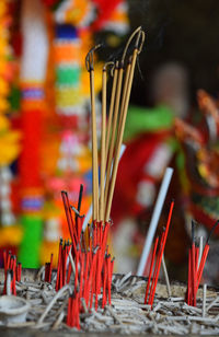 Close-up of burning incenses at temple