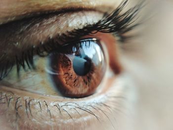 Close-up of human eye