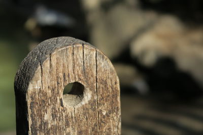 Close-up of old wooden post