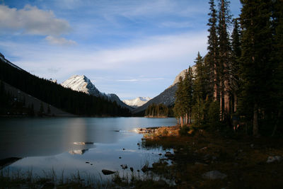 Scenic view of lake and trees against sky