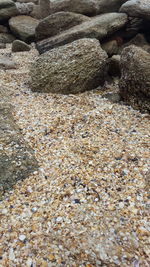 High angle view of stones on beach