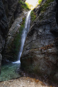 Scenic view of waterfall in forest