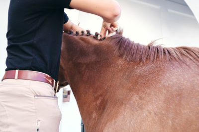 Cropped unrecognizable male jockey making braids on mane of chestnut horse while standing on ranch in summer