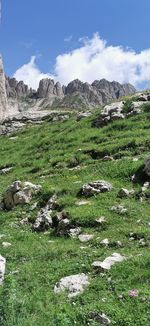 mountain