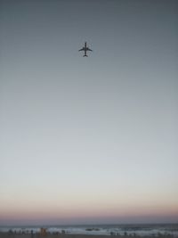 Airplane flying in sky