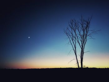 Silhouette bare tree against clear sky at sunset