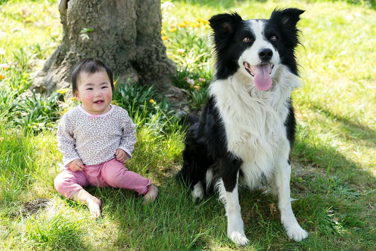 pets, looking at camera, dog, portrait, full length, baby, domestic animals, animal themes, sitting, grass, mouth open, animal, mammal, happiness, one animal, people, outdoors, human body part, one person, day, close-up, nature