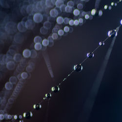 Low angle view of raindrops on string