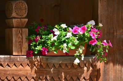 Close-up of pink flower pot