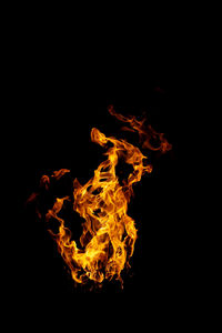 Close-up of bonfire against black background