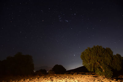 Scenic view of trees against sky at night