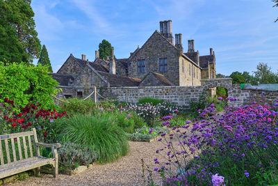 Purple flowering plants by building in yard against sky