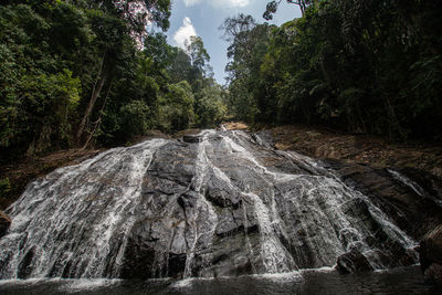 Scenic view of waterfall in forest