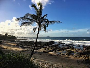 Palm trees on beach against sky