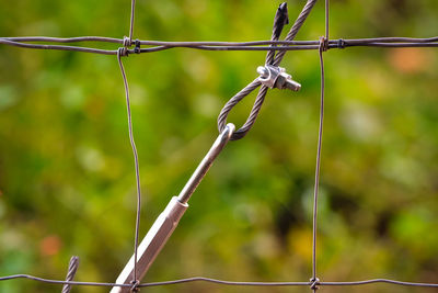 Close-up of barbed wire on fence