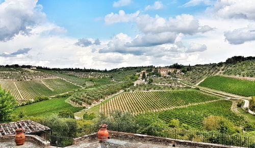 Scenic view of vineyard against sky