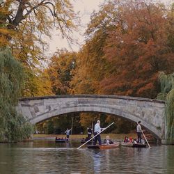 Bridge over river against trees