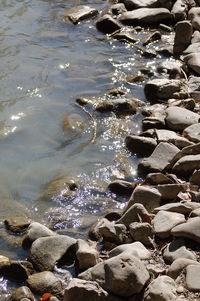 Rocks in sea