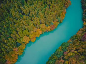 High angle view of trees by lake during autumn