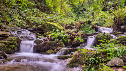 Waterfall in forest