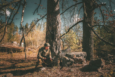 View of trees in forest