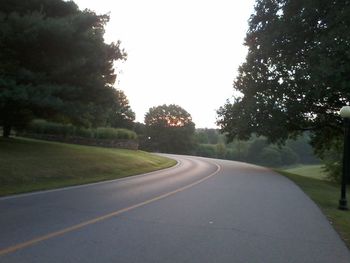 Empty road along trees