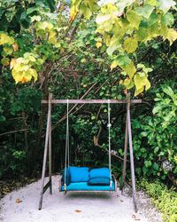 Blue swing amidst trees