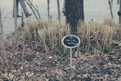 Close-up of signboard against plants