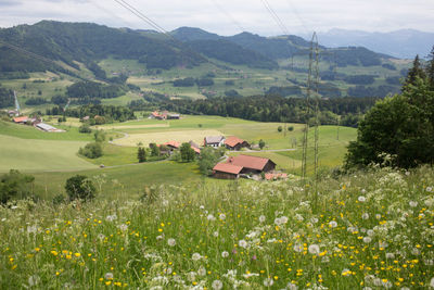 Scenic view of field and houses against sky