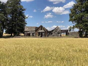 House on field against sky