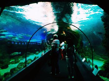 Silhouette people standing in aquarium