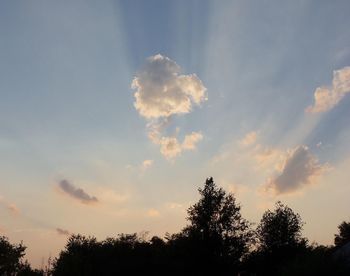 Low angle view of trees against sky