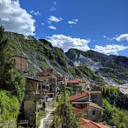 Houses in town