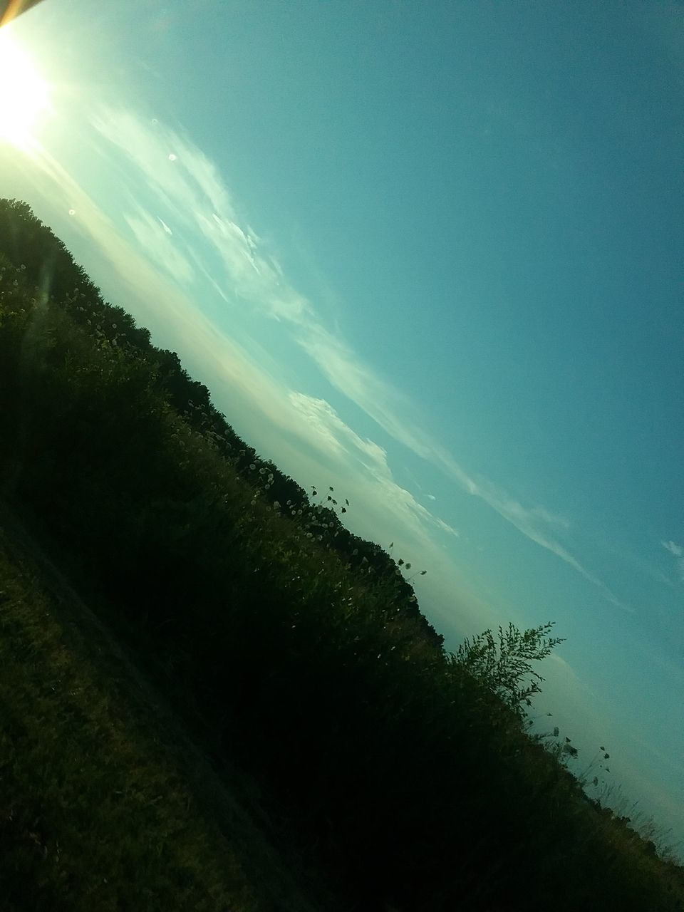 SCENIC VIEW OF FIELD AGAINST BLUE SKY