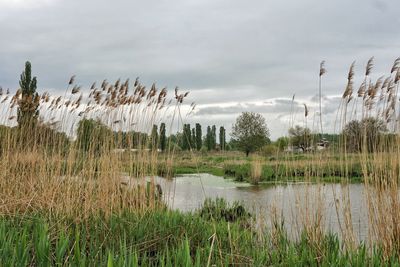 Scenic view of lake against sky