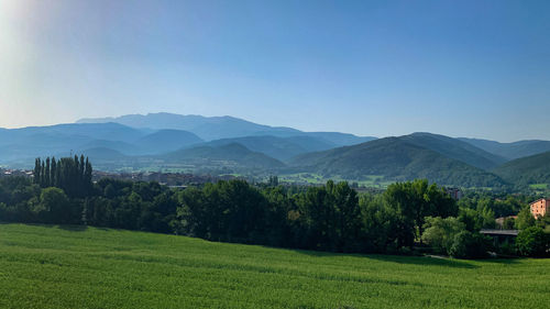 Scenic view of field against clear sky