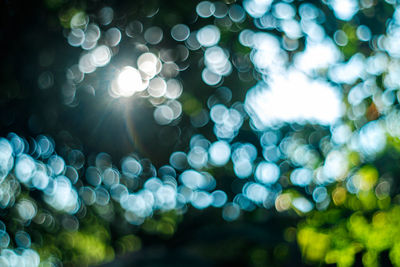 Defocused image of illuminated lights